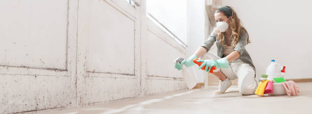 Mold Documentation for Insurance Claims in Three Forks, MT